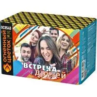 Салют Встреча друзей New ОС8541 купить от производителя Огненный Цветок — Великий Новгород