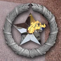 Венок вечный огонь чугун звезда нержавеющая сталь в Великом Новгороде (518577)