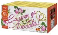 Салют Салют да любовь ЕС553 купить от производителя ФейерЛэнд — Великий Новгород